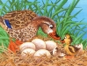 Quacky 2